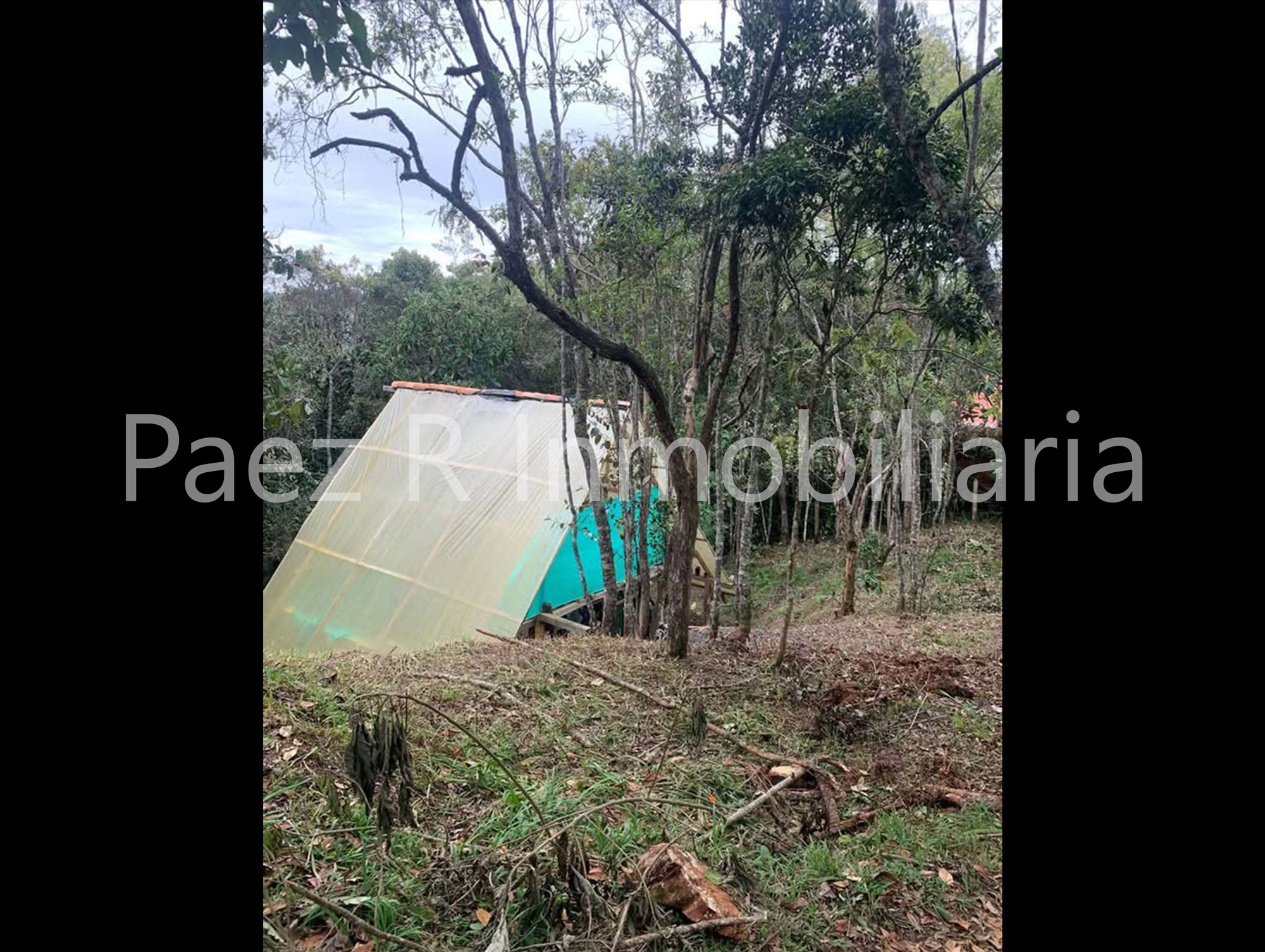 lote santa elena